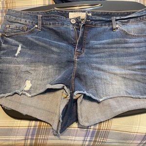 Torrid Jean Shorts